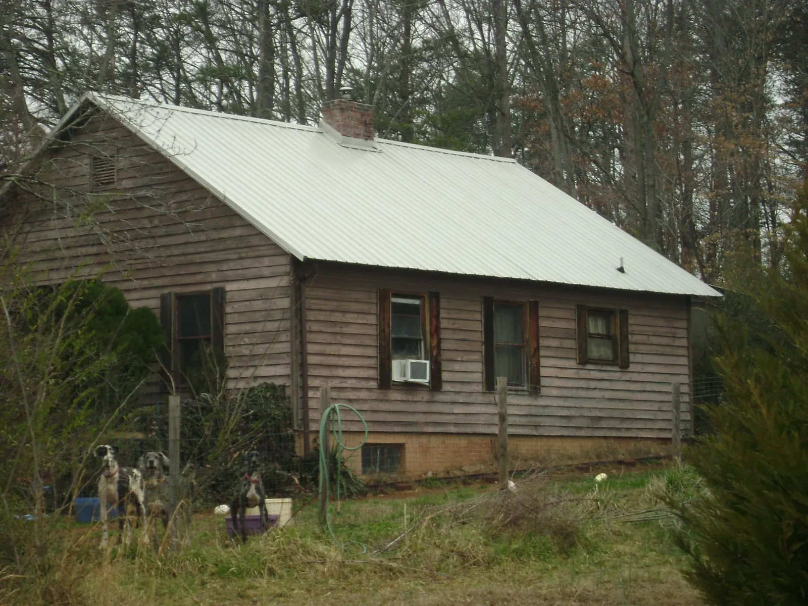 White metal roof on an old wood sided farmhouse, from a Asphalt Shingle Roof Repair job in Houtzdale